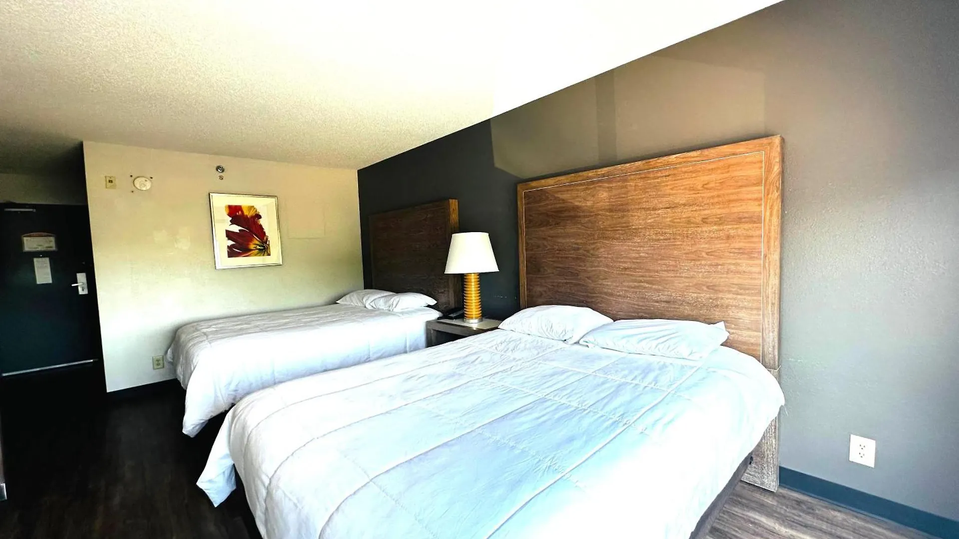 Baymont Inn And Suites By Wyndham Columbus / Near Osu 酒店