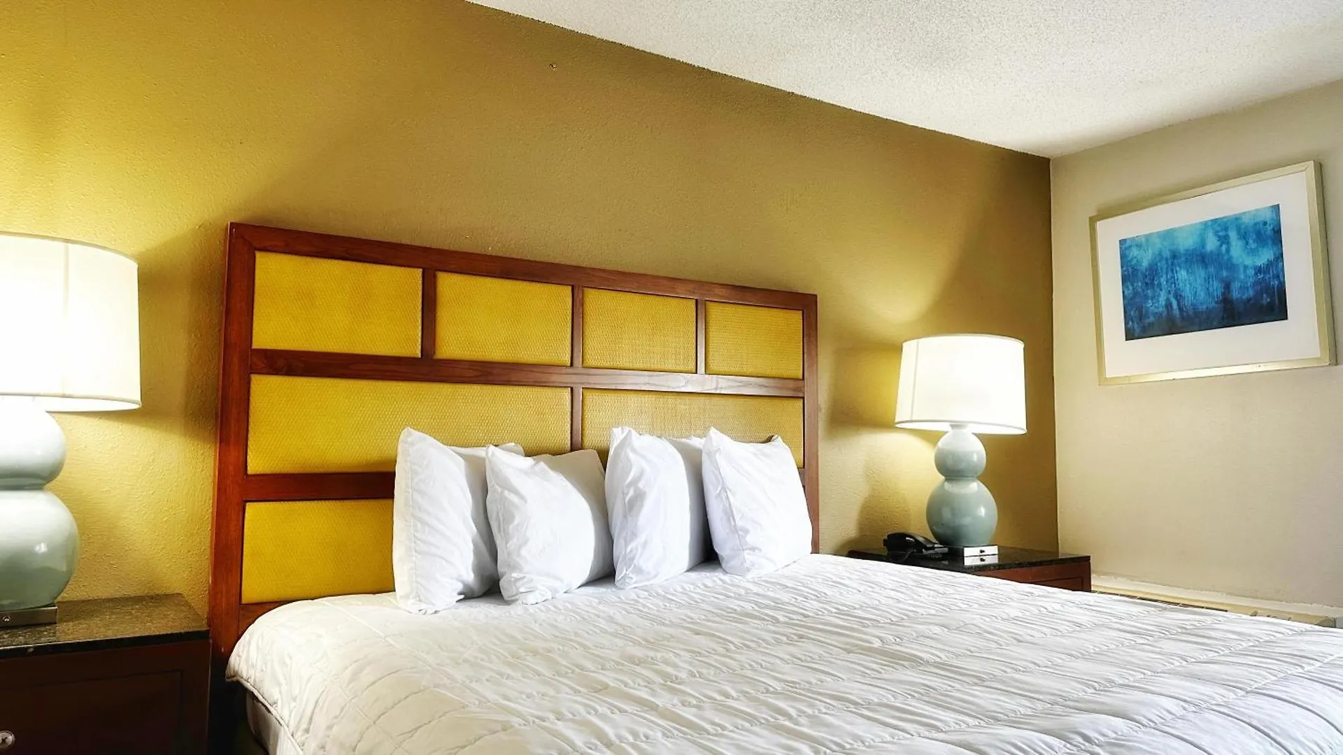 Hotel Baymont Inn And Suites By Wyndham Columbus / Near Osu