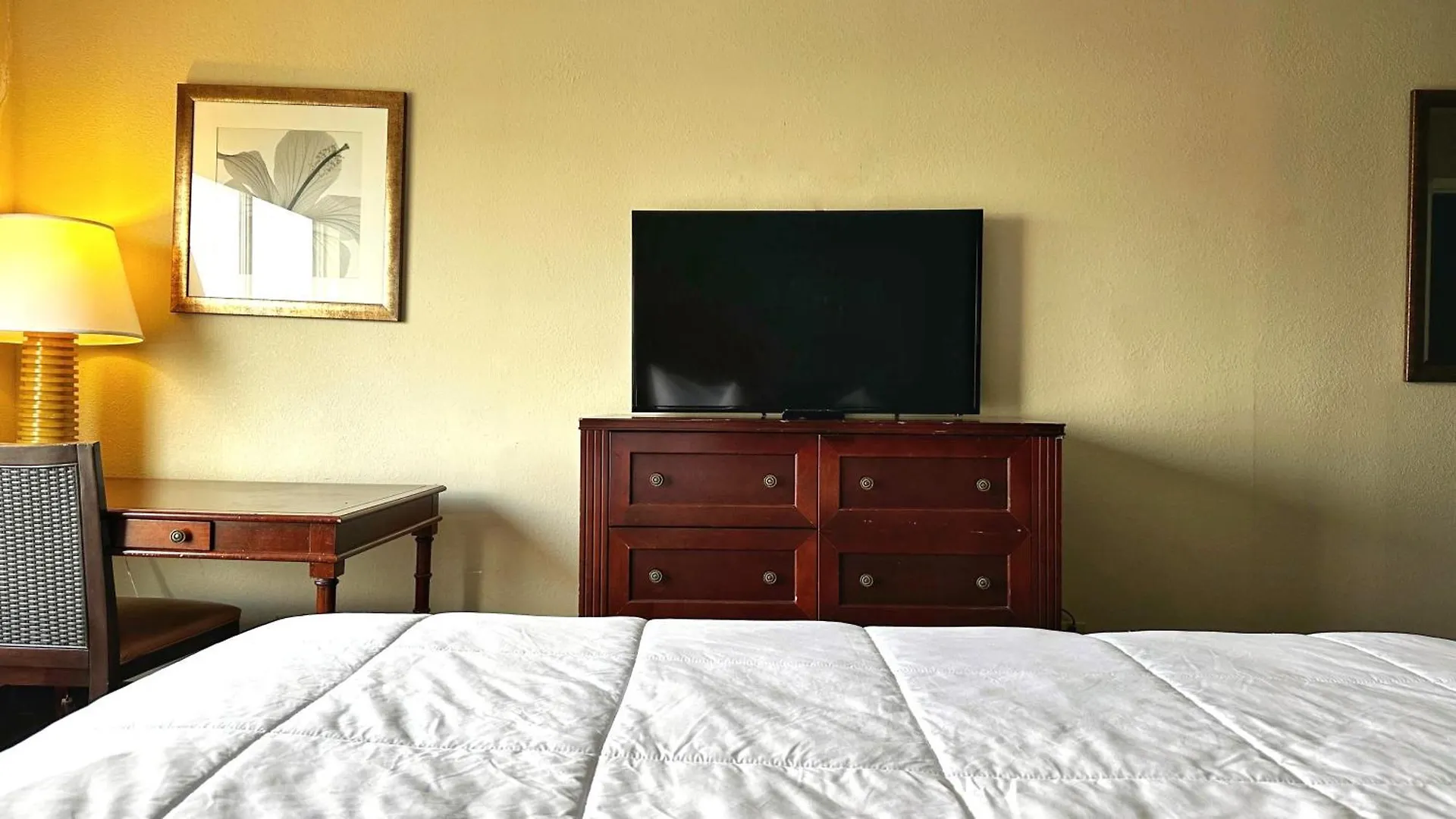 Hotel Baymont Inn And Suites By Wyndham Columbus / Near Osu