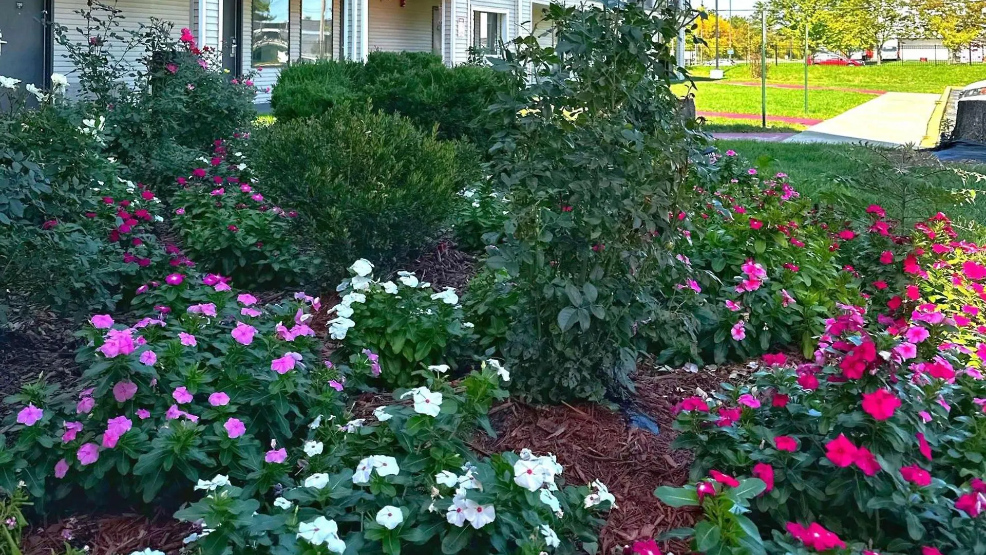 Hotel Baymont Inn And Suites By Wyndham Columbus / Near Osu