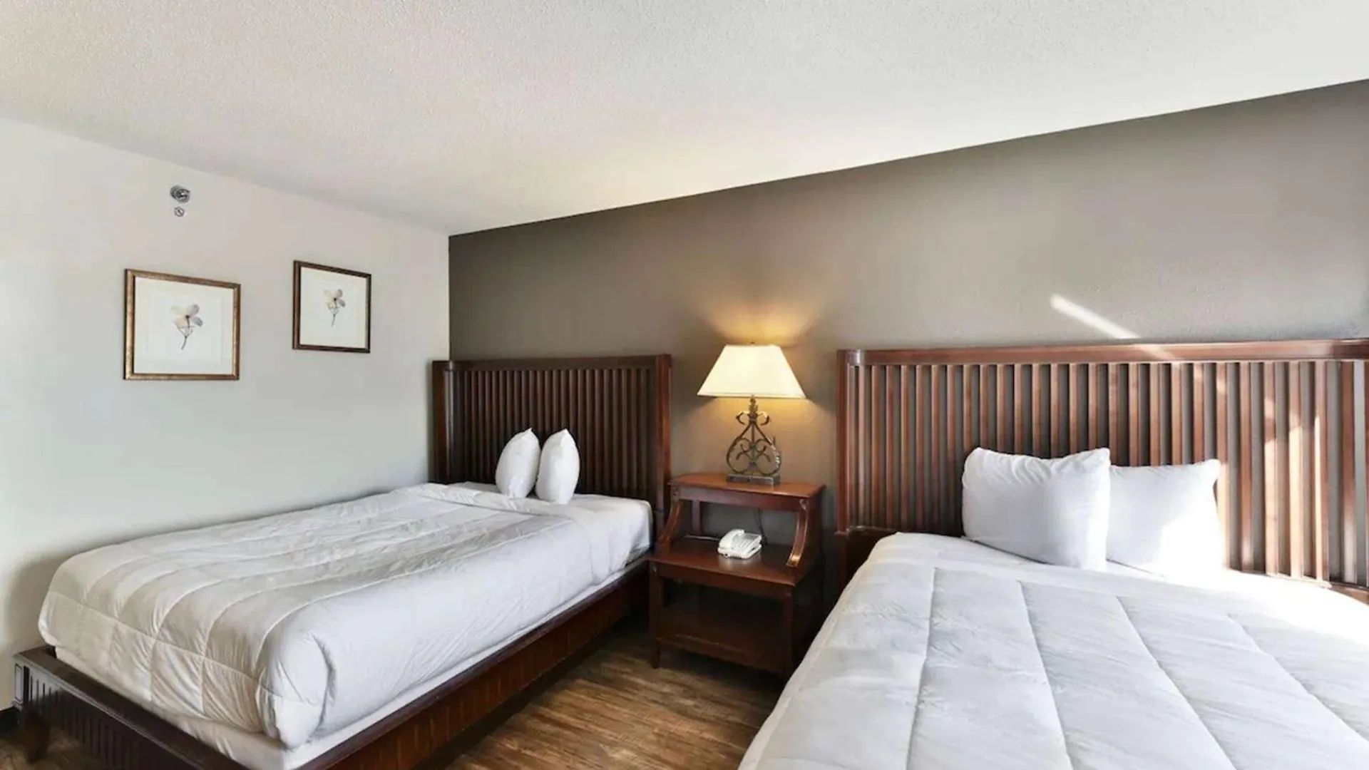Baymont Inn And Suites By Wyndham Columbus / Near Osu